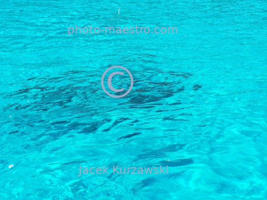 delphines,water,blue light