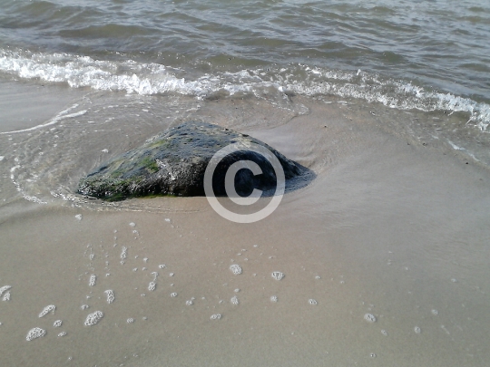 Kolobrzeg Poland Baltic sea waves flood a stone