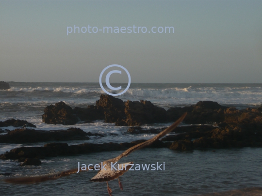 Morocco-Essaouira-Mogodor