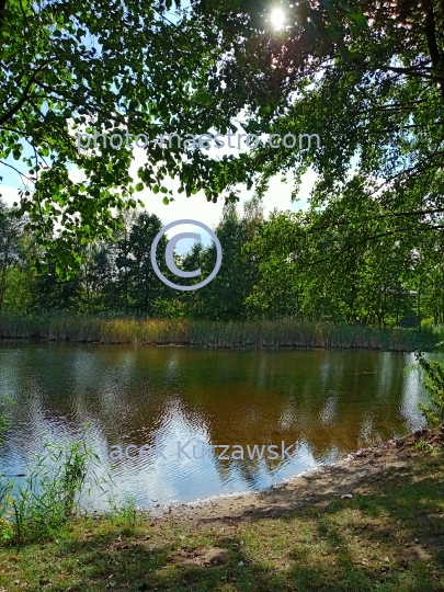 Poland,Bydgoszcz,Kuyavian-Pomeranian Voivodeship,nature,Myslecinek,recreation,ponds
