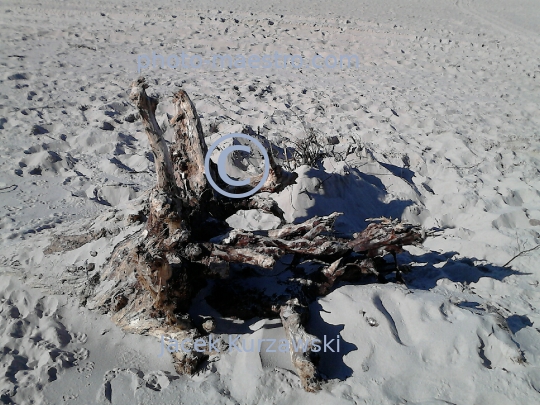 Poland,Kolobrzeg,West Pomeranian Voivodeship,sea shore,sand,Baltic Sea,beach,ambience,Old wood,decoration,nature