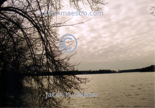 Poland,Lichen,nature,Greater Poland Voivodeship,panoramical view,Lake