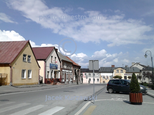 Poland,Skepe,Kuyavian-Pomeranian Voivodeship,architecure,history,town,traditional architecture,market square