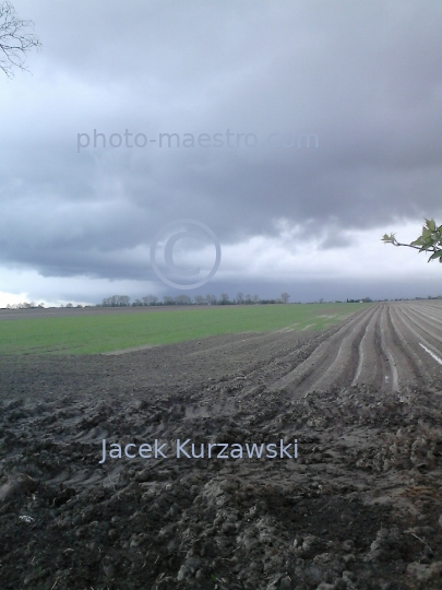 Poland,Sumin,Kuyavian-Pomeranian Voivodeship,panoramical view,nature,winter,art,decoration