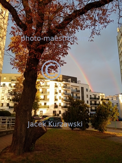 Poland,Torun,Kuyavian-Pomeranian Voivodeship,architecture,city center,sunset,rainbow