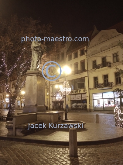 Poland,Torun,Kuyavian-Pomeranian Voivodeship,architecture,Old Town,Nicolaus Copernicus,ilumination,winter