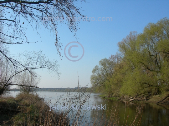Poland,Zlotoria,Kuyavian-Pomeranian Voivodeship,castle,art,history,ruins,Drweca